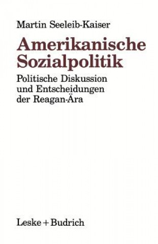 Buch Amerikanische Sozialpolitik Martin Seeleib-Kaiser