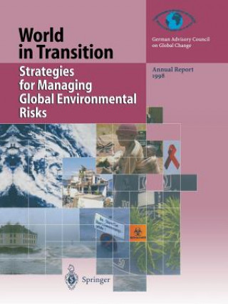 Książka Strategies for Managing Global Environmental Risks 