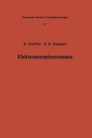 Kniha Elektronenspinresonanz Klaus Scheffler