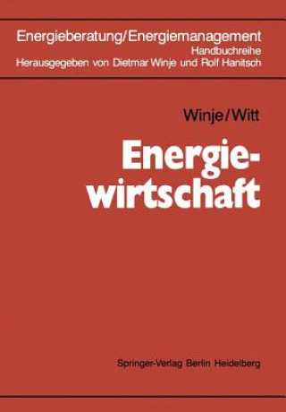 Kniha Energiewirtschaft Dietmar Winje