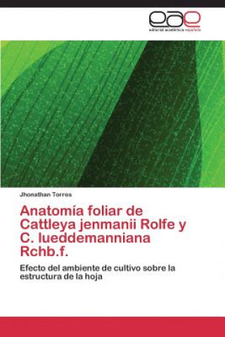Carte Anatomia foliar de Cattleya jenmanii Rolfe y C. lueddemanniana Rchb.f. Jhonathan Torres
