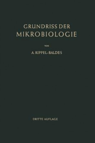 Carte Grundriss der Mikrobiologie August Rippel-Baldes
