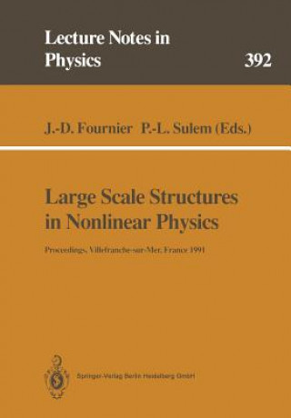 Książka Large Scale Structures in Nonlinear Physics, 1 Jean-Daniel Fournier