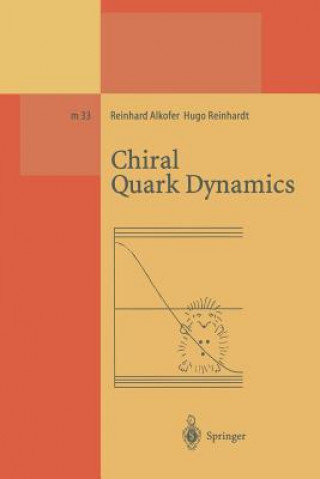 Könyv Chiral Quark Dynamics Reinhard Alkofer