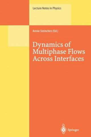 Książka Dynamics of Multiphase Flows Across Interfaces Annie Steinchen