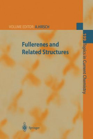 Knjiga Fullerenes and Related Structures Andreas Hirsch