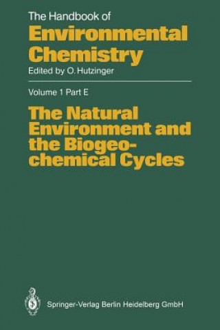Könyv Natural Environment and the Biogeochemical Cycles G.H. Dury