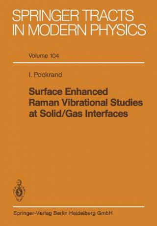 Kniha Surface Enhanced Raman Vibrational Studies at Solid Gas Interfaces I. Pockrand