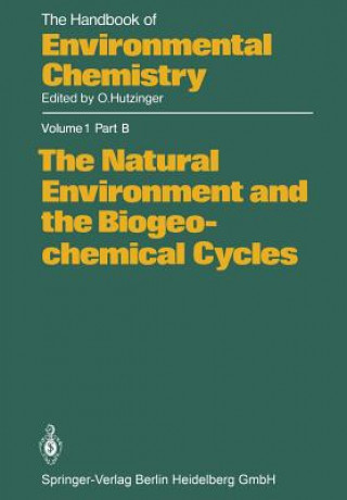 Buch Natural Environment and the Biogeochemical Cycles H. -J Bolle