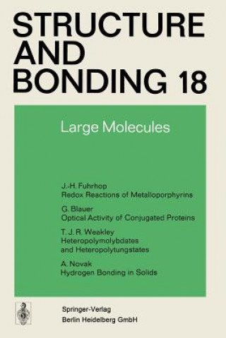Knjiga Large Molecules J. -H Fuhrhop