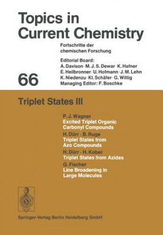 Libro Triplet States III 