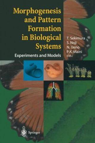 Knjiga Morphogenesis and Pattern Formation in Biological Systems T. Sekimura