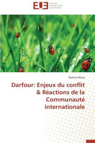 Carte Darfour Noémie Blaise