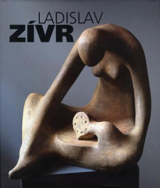 Könyv Ladislav Zívr Jaromír Typlt