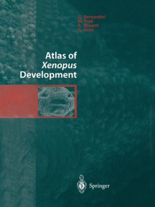 Könyv Atlas of Xenopus Development G. Bernardini