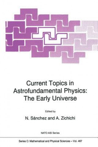 Könyv Current Topics in Astrofundamental Physics Norma G. S