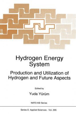 Kniha Hydrogen Energy System, 1 Yuda Yürüm