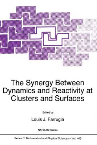 Kniha Synergy Between Dynamics and Reactivity at Clusters and Surfaces L.J. Farrugia