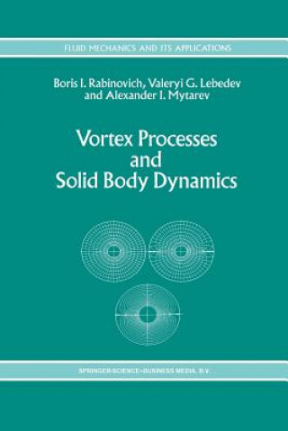 Książka Vortex Processes and Solid Body Dynamics B. Rabinovich