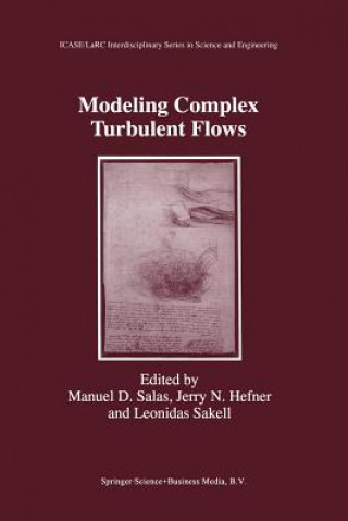 Книга Modeling Complex Turbulent Flows Manuel D. Salas