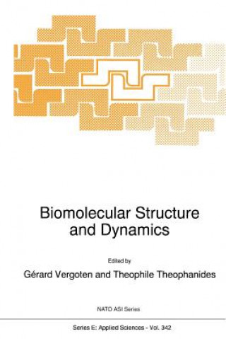 Kniha Biomolecular Structure and Dynamics G. Vergoten