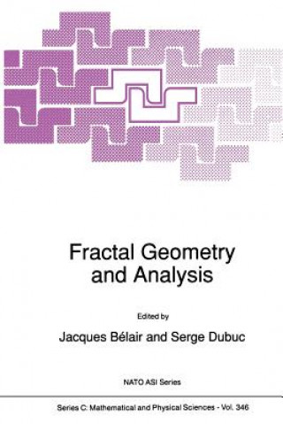 Książka Fractal Geometry and Analysis Jacques Bélair