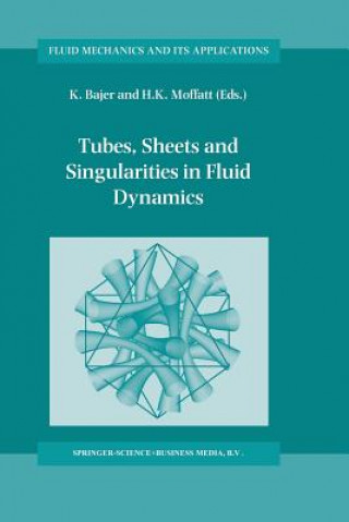 Könyv Tubes, Sheets and Singularities in Fluid Dynamics K. Bajer