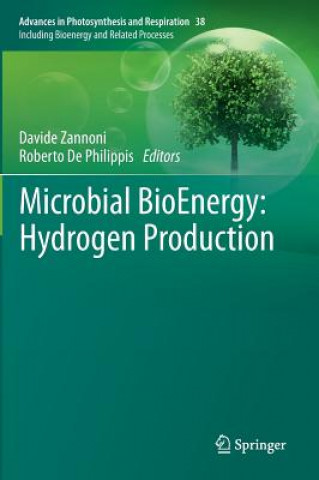 Carte Microbial BioEnergy: Hydrogen Production Davide Zannoni