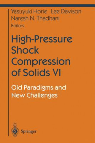 Könyv High-Pressure Shock Compression of Solids VI Yasuyuki Horie