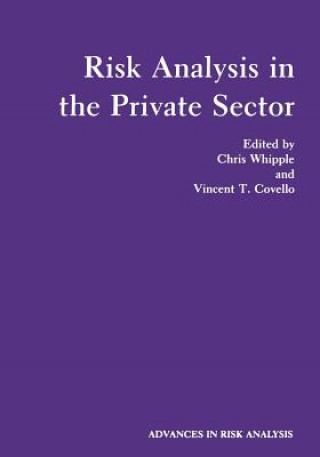 Könyv Risk Analysis in the Private Sector 