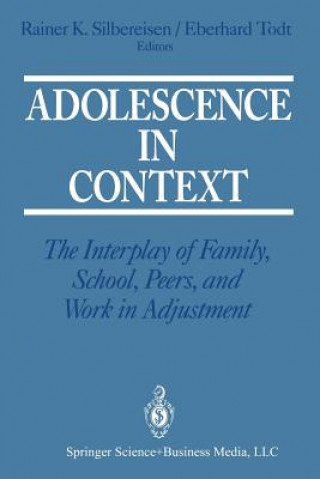 Kniha Adolescence in Context Rainer K. Silbereisen