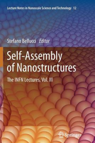 Carte Self-Assembly of Nanostructures Stefano Bellucci