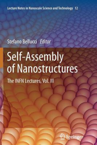 Libro Self-Assembly of Nanostructures Stefano Bellucci