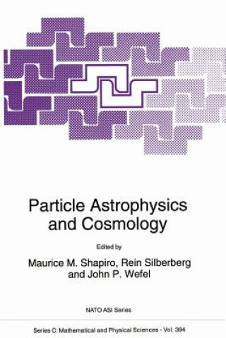 Könyv Particle Astrophysics and Cosmology M.M. Shapiro
