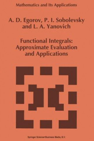 Knjiga Functional Integrals A.D. Egorov