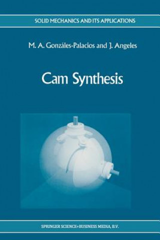 Knjiga Cam Synthesis M.A. González-Palacios