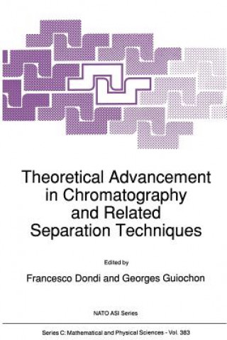 Książka Theoretical Advancement in Chromatography and Related Separation Techniques Francesco Dondi