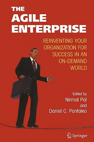 Kniha Agile Enterprise Nirmal Pal