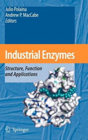Könyv Industrial Enzymes Julio Polaina