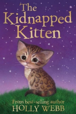 Könyv Kidnapped Kitten Holly Webb