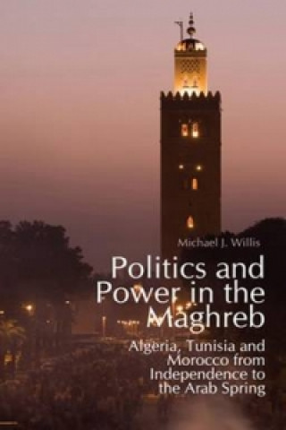 Książka Politics and Power in the Maghreb Michael Willis