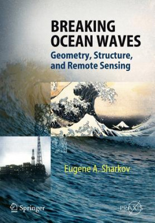 Carte Breaking Ocean Waves Eugene A. Sharkov