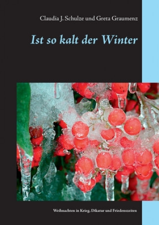 Buch Ist so kalt der Winter Claudia J. Schulze