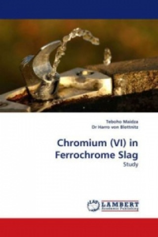 Książka Chromium (VI) in Ferrochrome Slag Teboho Maidza