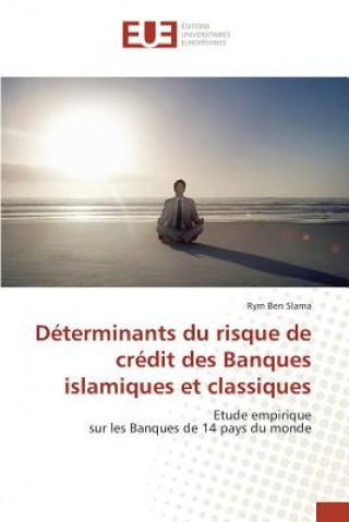 Book Determinants Du Risque de Credit Des Banques Islamiques Et Classiques Günter Zemella