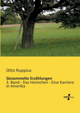 Könyv Gesammelte Erzahlungen Otto Ruppius