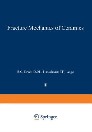 Knjiga Flaws and Testing R. C. Bradt