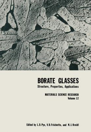 Boek Borate Glasses L. D. Pye
