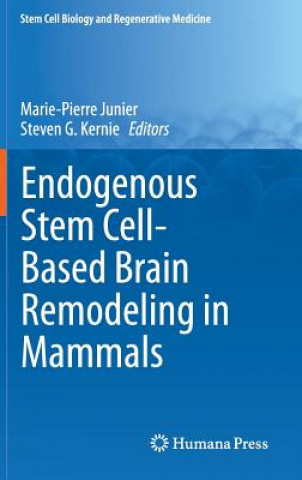 Könyv Endogenous Stem Cell-Based Brain Remodeling in Mammals Marie-Pierre Junier