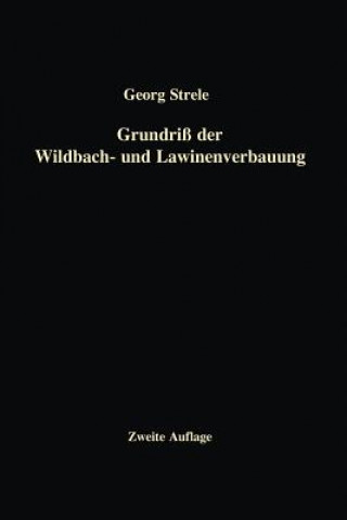 Carte Grundri  Der Wildbach- Und Lawinenverbauung Georg Strele